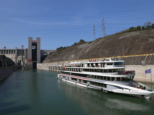 美国维多利亚系列宜昌神农架三峡重庆单飞7日游 探秘原始生态，尽享三峡风光